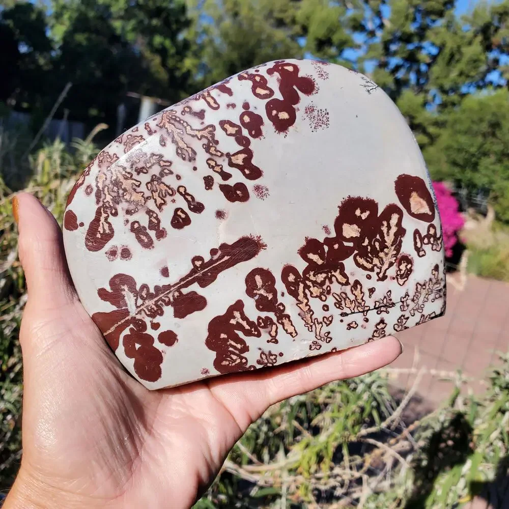 Picture Stone Jasper Dendritic Dendrite Display Freeform 706 Gram